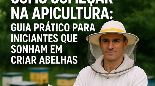 Como Começar na Apicultura: Guia Prático para Iniciantes que Sonham em Criar Abelhas