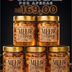 IMPERDÍVEL 5un. Mel com Castanhas Premium 210g – Energia Natural e Funcional