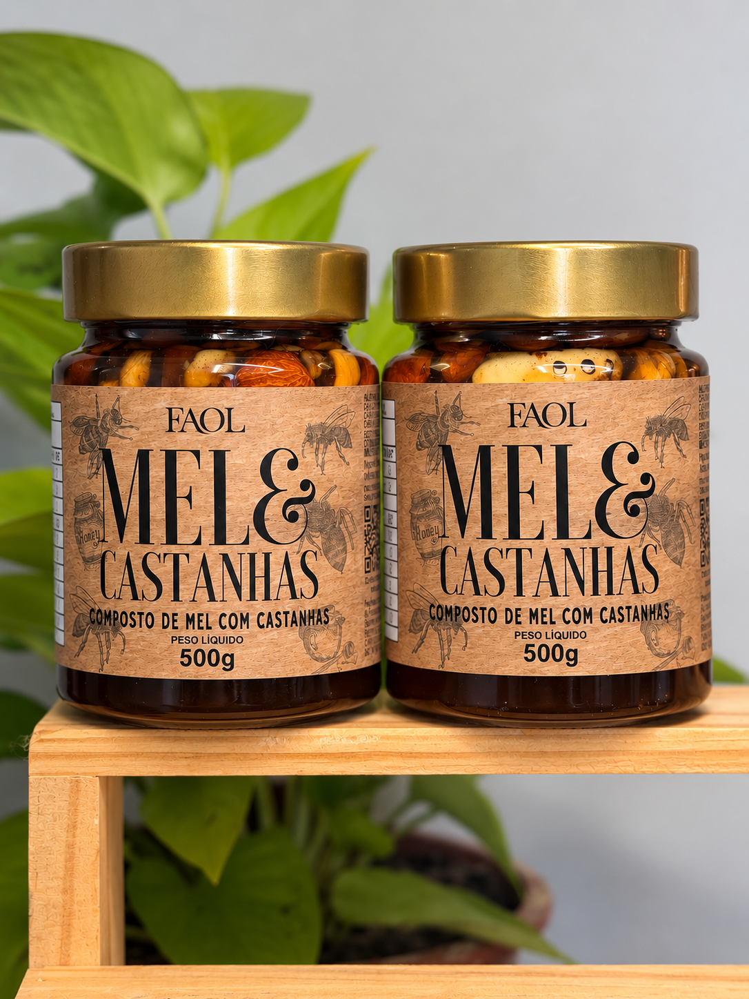 Kit 2 Mel com Castanhas Premium 500g
