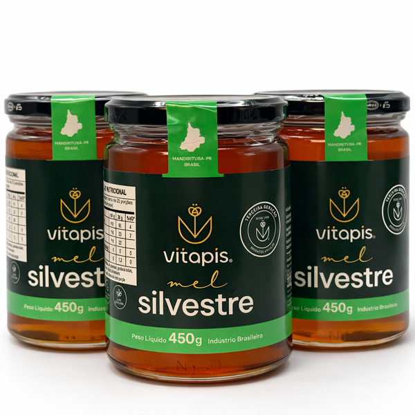 Kit 3 Mel Premium Silvestre 450g | Puro e Natural da Serra do Paraná