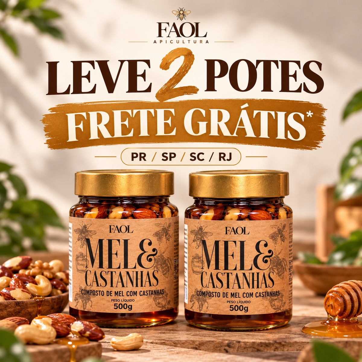 Kit 2 Mel com Castanhas Premium 500g