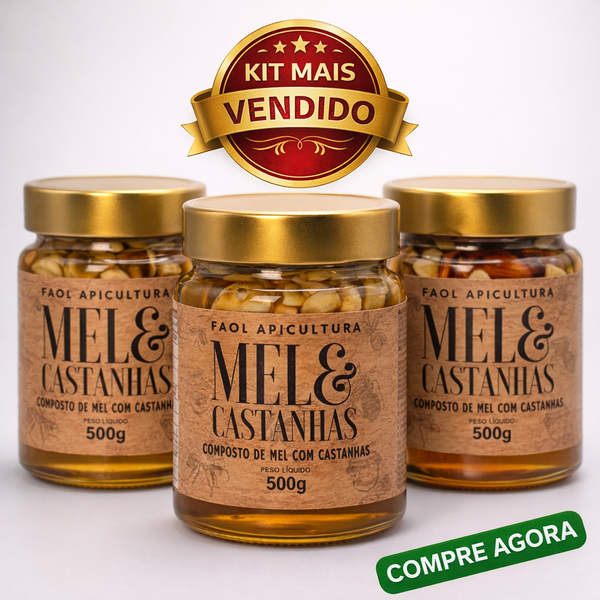 Kit 3 Mel & Castanhas 500g – Economia para o Mês