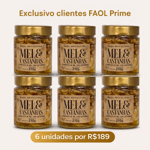 FAOL Prime 6un. Mel com Castanhas Premium 210g – Energia Natural e Funcional