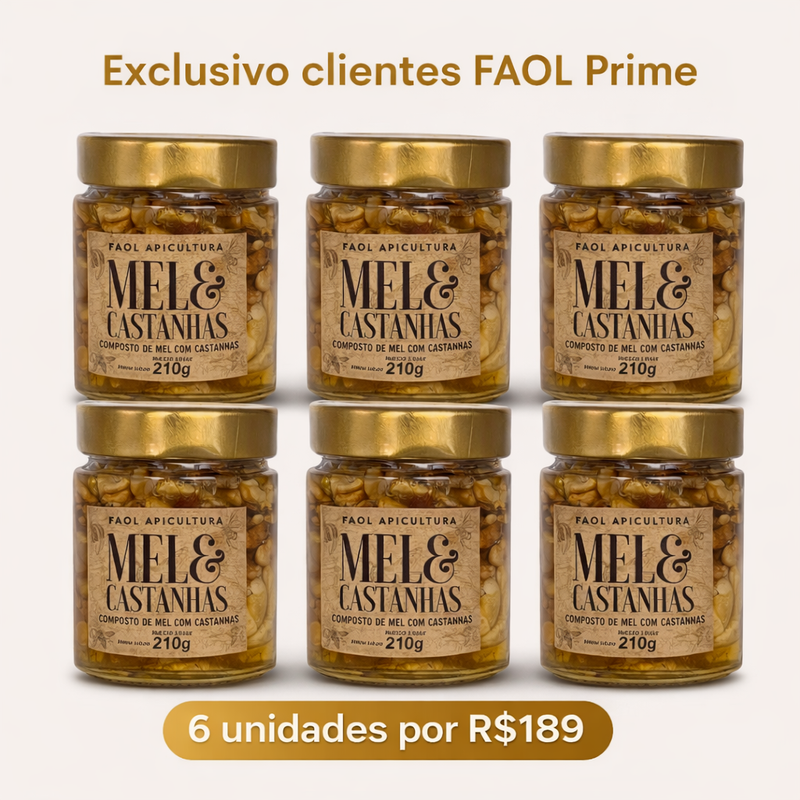 FAOL Prime 6un. Mel com Castanhas Premium 210g – Energia Natural e Funcional