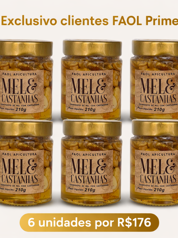 FAOL Prime 6un. Mel com Castanhas Premium 210g – Energia Natural e Funcional