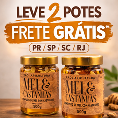 2 Mel com Castanhas Premium 500g - Frete Grátis