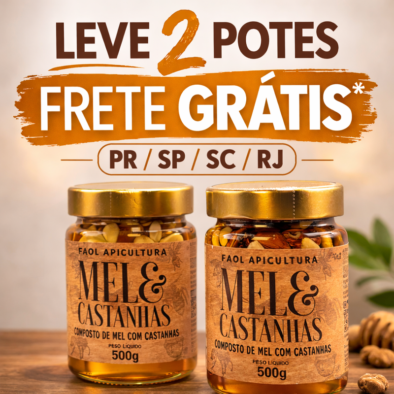 2 Mel com Castanhas Premium 500g - Frete Grátis