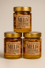 3un. Mel com Castanhas Premium 210g – Energia Natural e Funcional