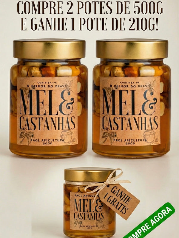 2un Mel com Castanhas 500g - Ganhe 1 Mel com Castanha 210g