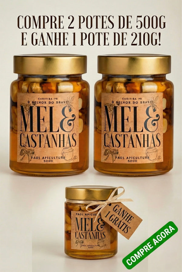 2un Mel com Castanhas 500g - Ganhe 1 Mel com Castanha 210g