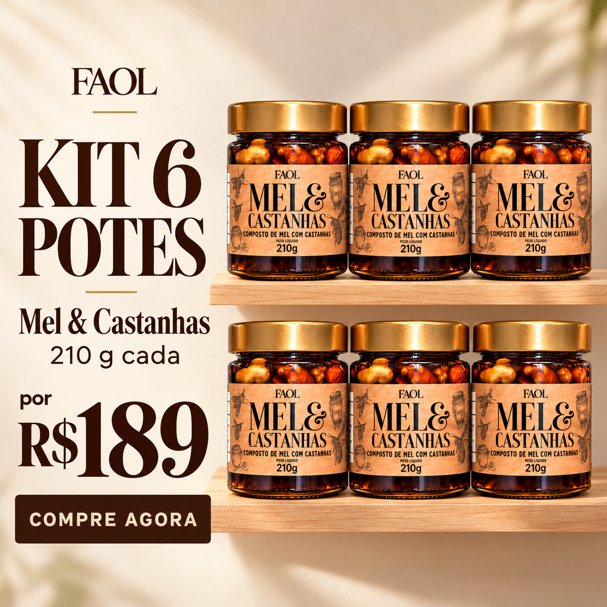 FAOL Prime 6 un. Mel com Castanhas Premium 210g – Energia Natural
