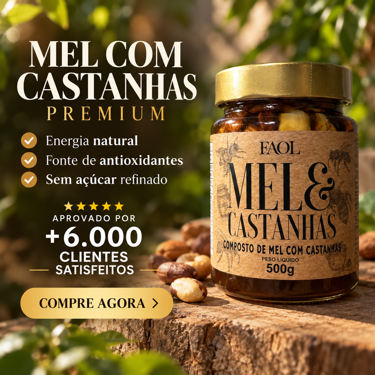Mel com Castanhas Premium 500g – O Encontro Perfeito entre Sabor e Qualidade
