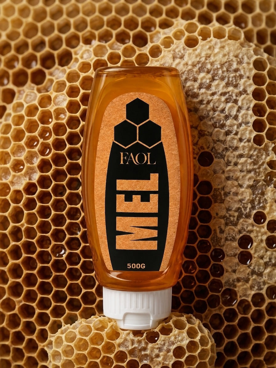 Mel Premium FAOL Bisgana 500g | Seu mel favorito, agora muito mais fácil de servir.