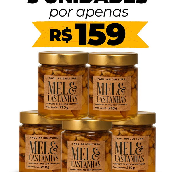 IMPERDÍVEL 5un. Mel com Castanhas Premium 210g – Energia Natural e Funcional