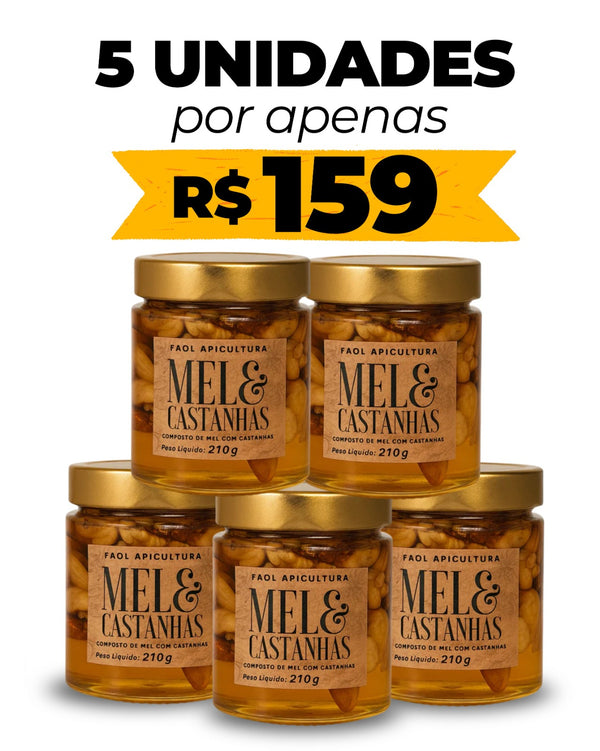 IMPERDÍVEL 5un. Mel com Castanhas Premium 210g – Energia Natural e Funcional