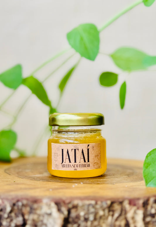 Mel Natural Abelha Sem Ferrão – Jataí (50g)